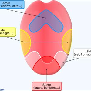 Side Affects Of Black Cherry Extract - Krystexxa - Very Best Treatment Treatment Just For Gout